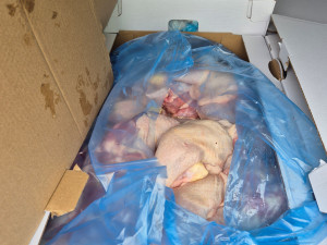 VIDEO: Pašerák u Olomouce. Celníci odhalili kamion se čtyřmi tunami kebabu