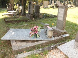Hyena na hřbitově v Olomouci, pět desítek poničených nebo otevřených hrobů. Ničema hledal cennosti