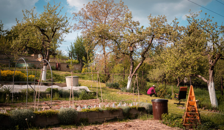 Dvě české ukázkové zahrady bojují o Evropskou cenu za ekologické zahradničení