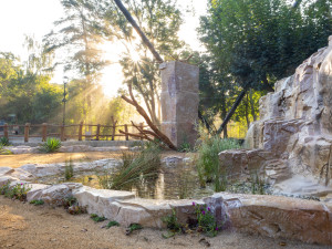 Největší dravci světa v olomoucké zoo. Kondoři mají novou voliéru