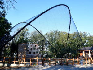 Největší dravci světa v olomoucké zoo. Kondoři mají novou voliéru