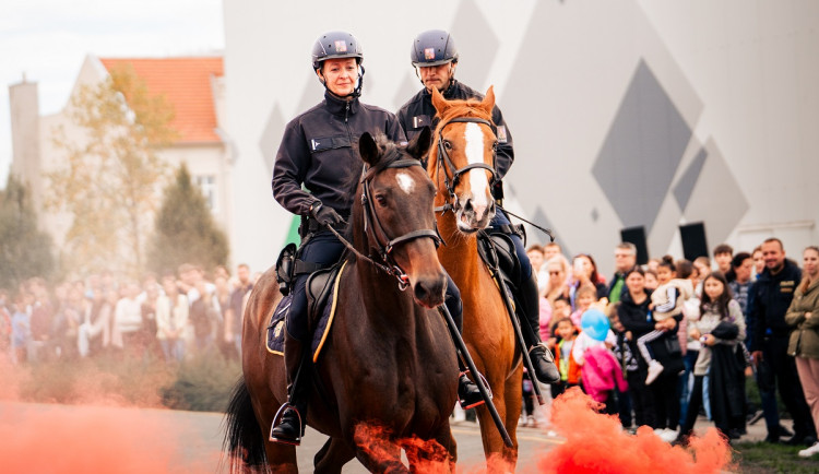 MÁŠ NA TO i v roce 2025? Zábava, sport a soutěže pro děti i dospělé. Tam musíš být!