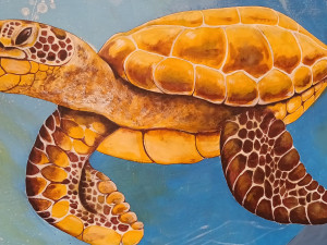 Autobusová zastávka ve Smržicích jako podmořské akvárium? Už brzy