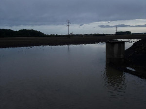 Záplavy pod novým mostem. Na dokončované D1 u Přerova řádí záškodník