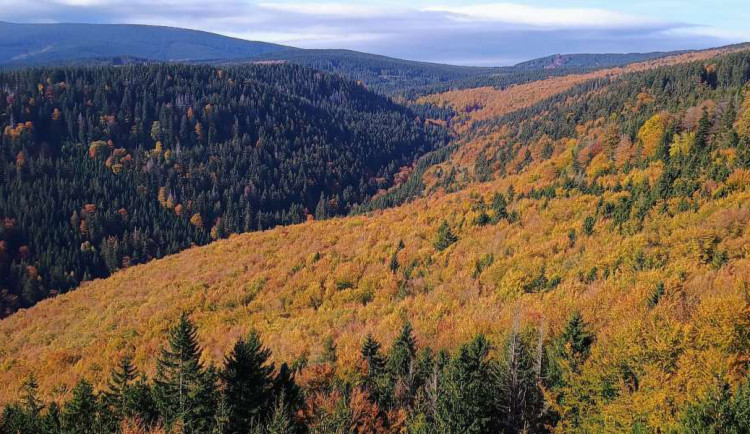 Rezervace Skalní potok se rozšířila o sedm hektarů