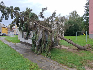 Vichr trápí Olomoucký kraj, zavřel i zoo. Hasiči řeší desítky zásahů