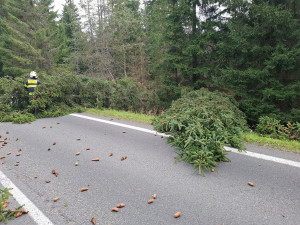 Vichr trápí Olomoucký kraj, hasiči řeší desítky zásahů