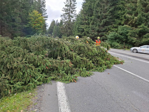 Vichr trápí Olomoucký kraj, hasiči řeší desítky zásahů