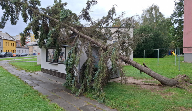 V Přerově se strom vyvrátil při silném větru na objekt trafiky