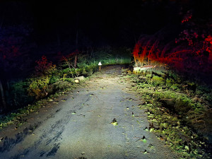 Větrná smršť sevřela Olomoucko a Šumpersko, hasiči s pohromou bojovali celou noc