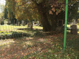 Hyena na hřbitově v Olomouci, pět desítek poničených nebo otevřených hrobů. Ničema hledal cennosti