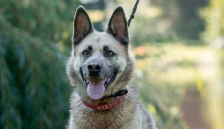 17496485966109-124-3-maxik