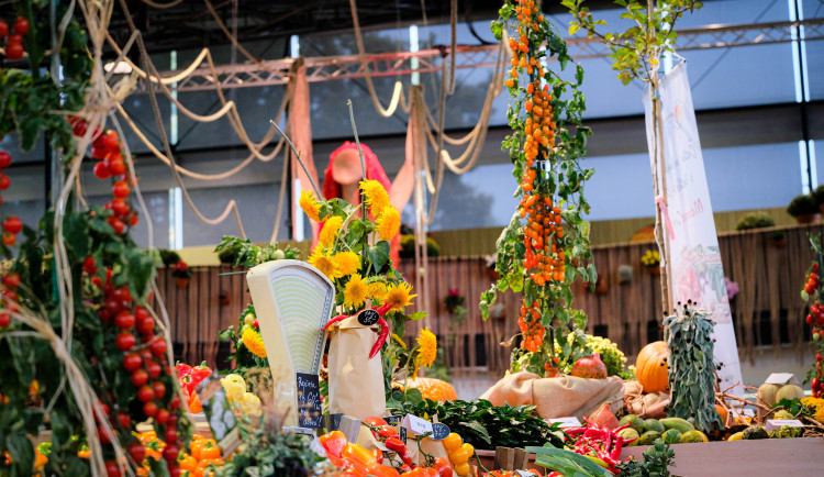 podzimni_Flora_Olomouc_Hortikomplex _exp