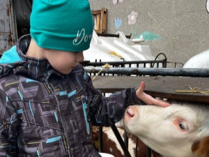 Navzdory prognózám dnes devítiletý Dominik z Olomouce chodí. Překonal dětskou mozkovou obrnu