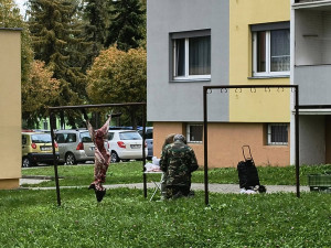 Rozřezaný divočák na sušáku. Scéna mezi paneláky v Olomouci rozvířila emoce