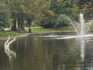 ANKETA: Nohy z vody Kurta Gebauera budí v Olomouci pozornost. Jak se vám líbí?