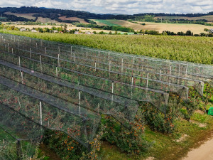 05_Pragerovy sady se nachází v Libině na Šumpersku  (2)