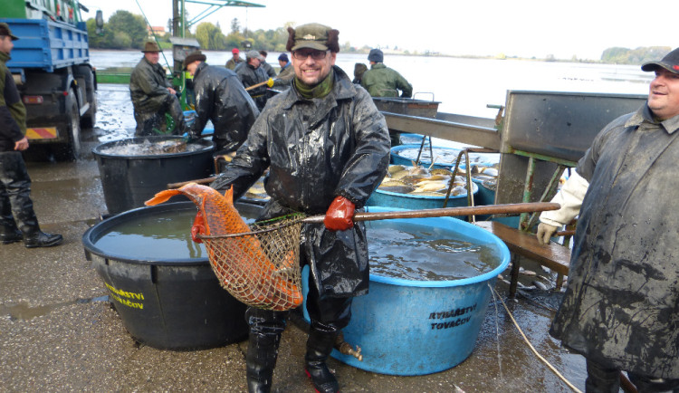 560641268_1260422462792023_4074265350114475201_n