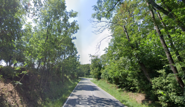 Kvůli kácení stromů bude v Olomouci na konci října uzavřena Zolova ulice