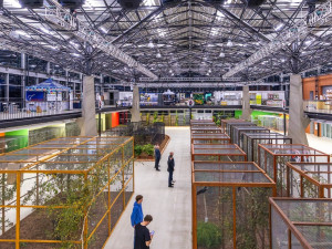 Vzácní papoušci i orchideje. Olomoucké výstaviště nabízí dvě akce plné exotiky