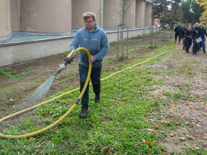 Moderní a účinná cesta k zeleni. FN Olomouc zkrášluje areál pomocí hydroosevu