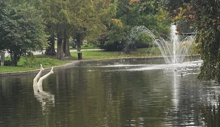 GLOSA: Nohy vystrčené z jezírka - nic víc? Chybí nápaditost, svedl by to každý začátečník