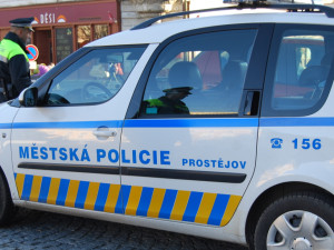 Muž opaloval na okraji Prostějova kabely. Chytili ho strážníci, je podezřelý z krádeží