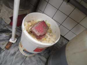 Myši, trus, špína a zbytky na podlaze. Inspekce zavřela rychlé občerstvení v Přerově