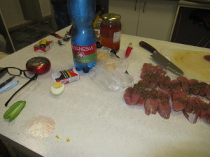 Myši, trus, špína a zbytky na podlaze. Inspekce zavřela rychlé občerstvení v Přerově