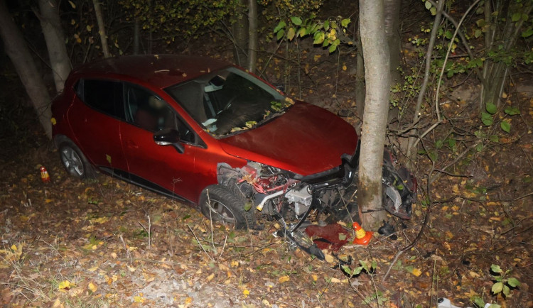 Opilý mladík nezvládl rychlost a u Břevence v noci vyletěl ze silnice. Skončil ve stromě