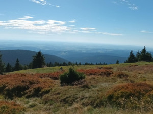 TIP NA VÝLET: Bílá Opava