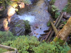 TIP NA VÝLET: Bílá Opava