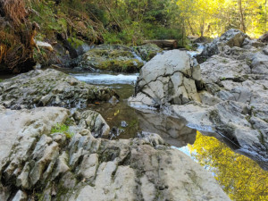 TIP NA VÝLET: Bílá Opava