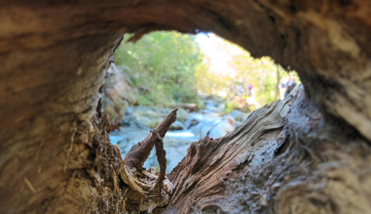 TIP NA VÝLET: Bílá Opava