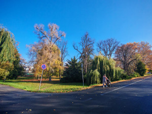 Neutěšený park u centra Olomouce míří k proměně. Má dostat i fontánu s nasvícením