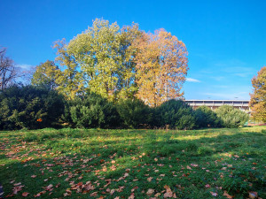 Neutěšený park u centra Olomouce míří k proměně. Má dostat i fontánu s nasvícením