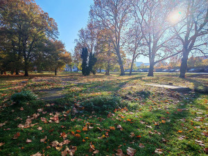 Neutěšený park u centra Olomouce míří k proměně. Má dostat i fontánu s nasvícením