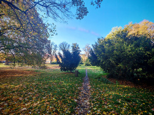 Neutěšený park u centra Olomouce míří k proměně. Má dostat i fontánu s nasvícením