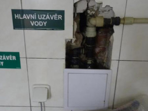 Švábi v restauraci v centru Olomouce. Inspekce zavřela prostory v suterénu