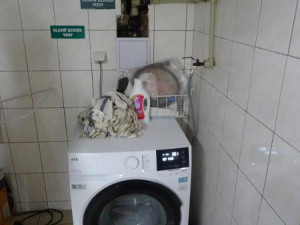 Švábi v restauraci v centru Olomouce. Inspekce zavřela prostory v suterénu