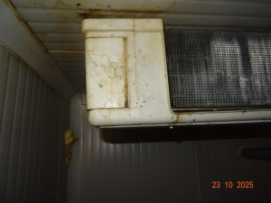 Švábi v restauraci v centru Olomouce. Inspekce zavřela prostory v suterénu