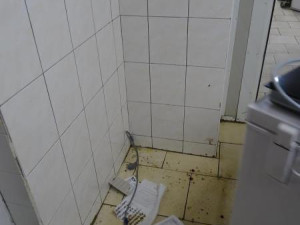 Švábi v restauraci v centru Olomouce. Inspekce zavřela prostory v suterénu