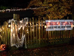 FOTOGALERIE: Strašidelné zoo praskalo ve švech, dnes je na programu světelná show