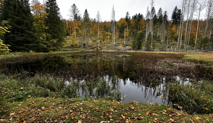Ze Železné Rudy přes zaniklé Ferdinandovo údolí k tajemnému jezírku Obere Schwelle