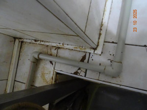 Švábi v suterénu? Prostory k restauraci nepatří, hájí se olomoucký podnik