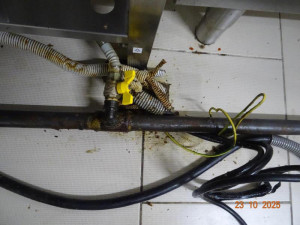 Švábi v suterénu? Prostory k restauraci nepatří, hájí se olomoucký podnik