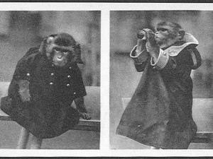 Nemáte doma historické fotografie z olomoucké zoo? Zahrada prosí o jejich zapůjčení