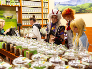 Cosplay Festival v Šantovce vtáhne příchozí do světa Japonska, mangy a anime
