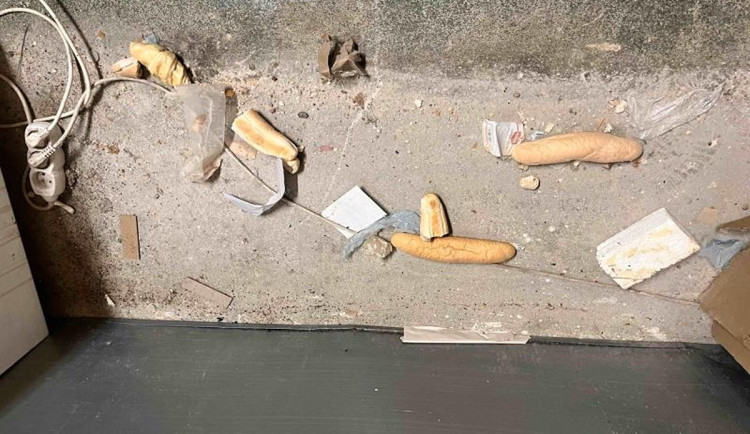 Inspektoři zavřeli pekárnu v Králově Poli. Našli trus hlodavců i plíseň