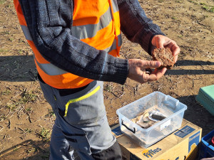 Archeologové objevili při průzkumu D35 u Přerova pozůstatky pravěkých osad